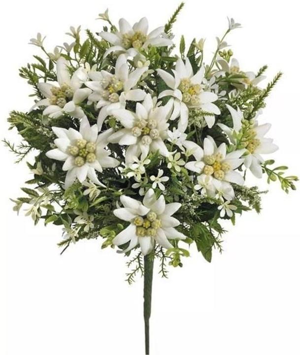 Immagine prodotto Dekomat Bouquet di fiori artificiali Edelweiss 29 cm (29 cm)