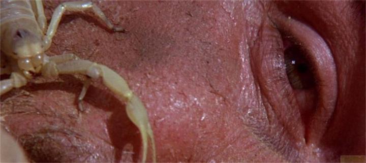 Immagine prodotto Plaion Azienda Capricorno Edizione Speciale (Blu-ray, 1978, Tedesco, Inglese)