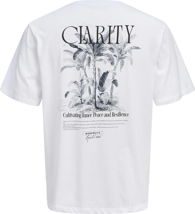 Image du produit Jack & Jones Jorbradley Clarity Tee Ss C.N Stmss25 (L)