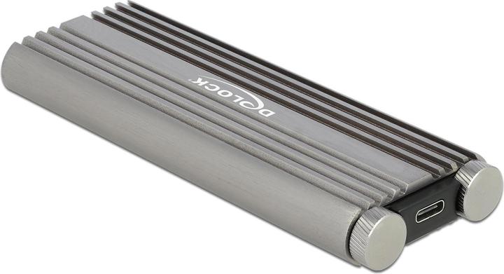 Produktbild Delock Externes Gehäuse 42001 (M.2)