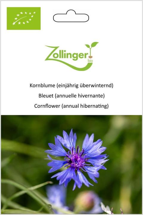 Immagine prodotto Zollinger Bio Fiordaliso (annuale svernante) (Pianta bulbosa)