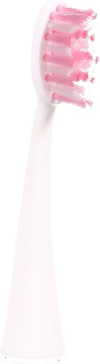 Actual product image Ailoria Shine Bright (6 x)