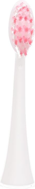 Actual product image Ailoria Shine Bright (6 x)
