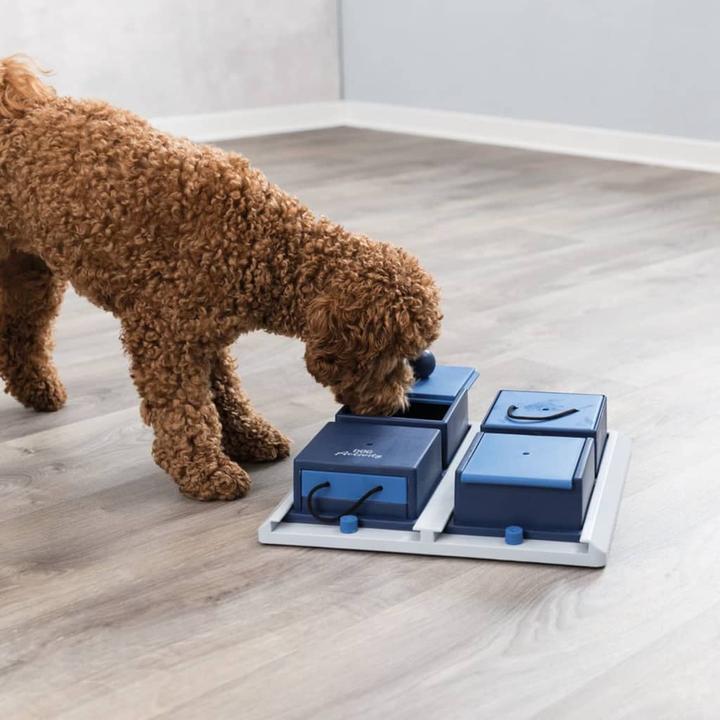 Immagine prodotto Trixie Poker Box 2 (Intelligenza cane toy)