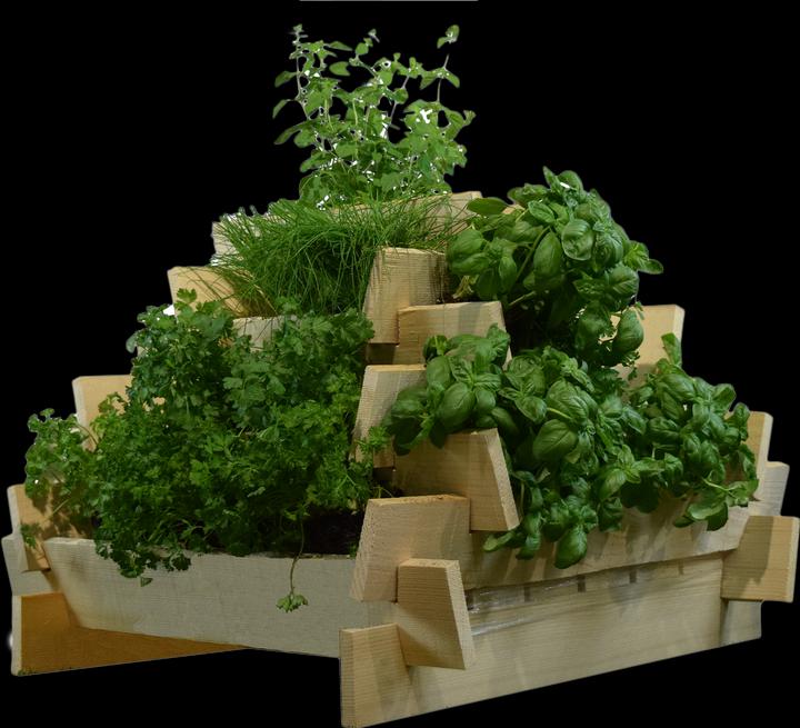 Actual product image DIY-Wood Herb pyramid untreated