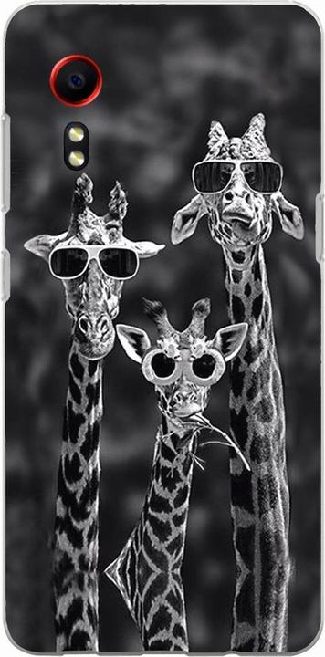3 Giraffen