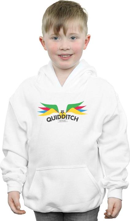 Image du produit - Sweat à capuche SNITCH WINGS PASTELS - Garçon (152, 158)