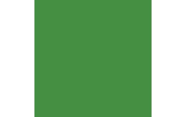 Actual product image Amsterdam standard series (Permanent Green Light, 120 ml)