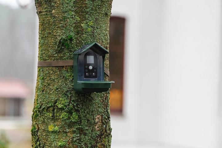 Image du produit Braun Photo BRAUN Bird Cam 130 solaire