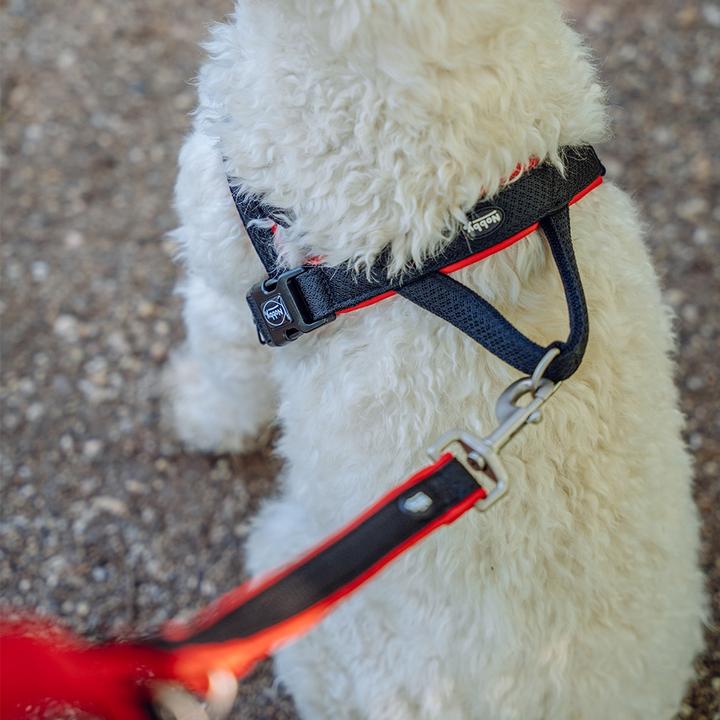 Produktbild Nobby Norwegergeschirr Mesh Preno (S, M, Hund, Allgemein)