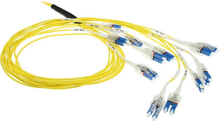Actual product image 25 meter Singlemode 9/125 OS2 Preterm fiber cable 24F LC Polarity Twist (25 m)