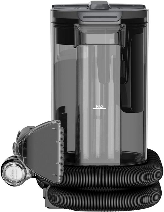 Actual product image Bissell Stain cleaner