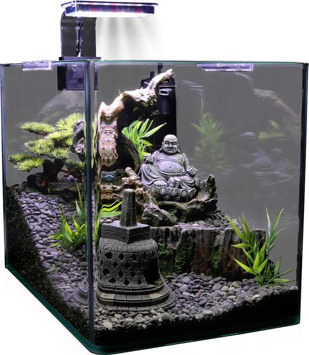 Image du produit Duvoplus Laisse pour poule, 15mm/120cm, noir