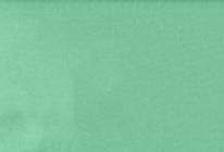 Actual product image Algon green tablecloth roll with mandrel 1x5m