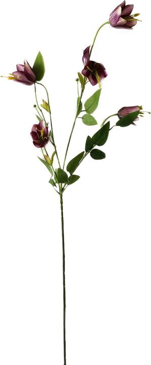 Produktbild NTK-Collection Glockenblume 89 cm Flora (89 cm)