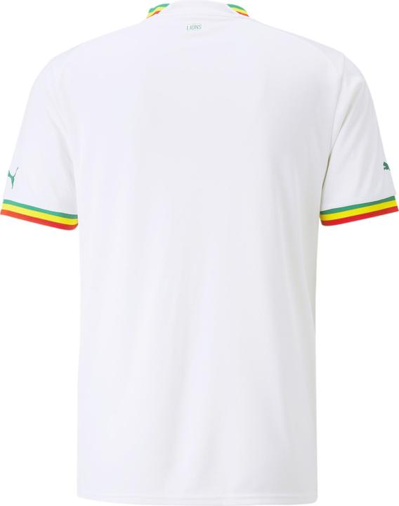Puma FSF Home Jersey Replica