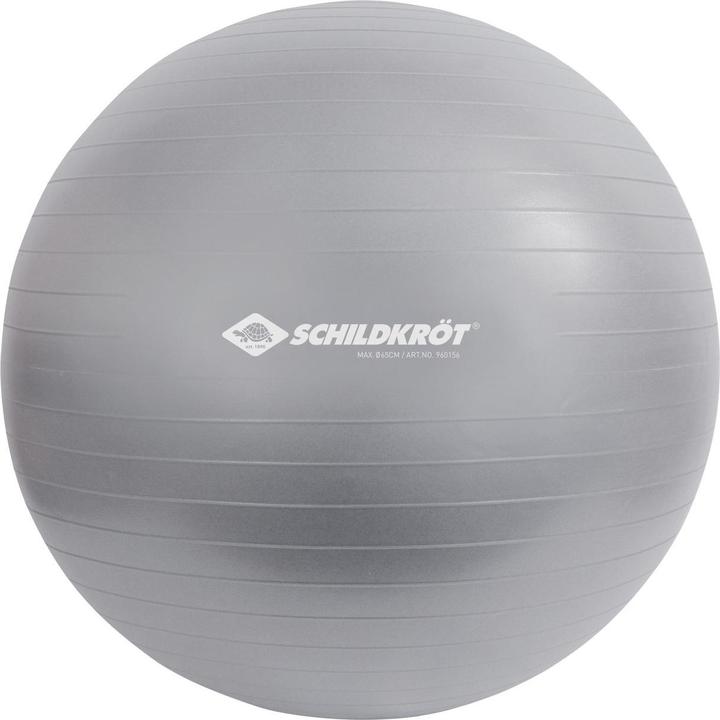 Schildkröt Gymnastikball 65 cm (65 cm)