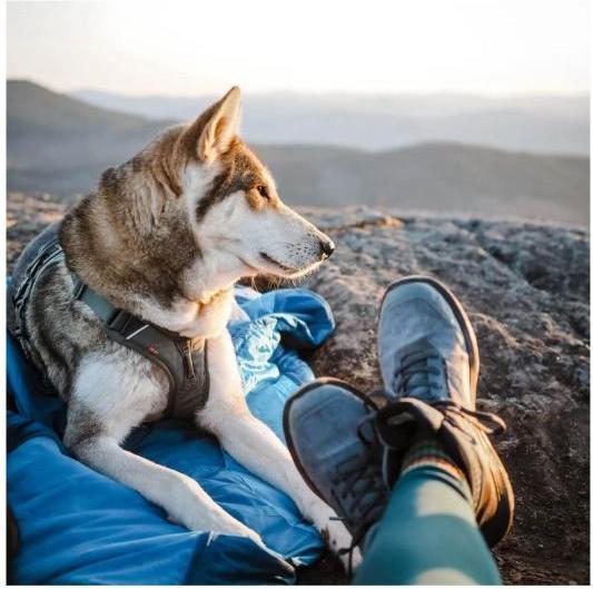 Produktbild Non-Stop Dogwear Ly Sleepingbag For Dog (M, Hundemantel)