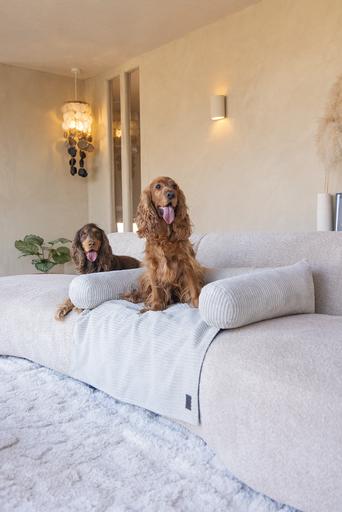 Designed by Lotte Coussin de canapé Ribbed (Chien)
