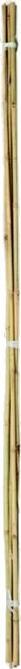 Actual product image Jensen Bamboo sticks (20 pieces pack) (60 cm)