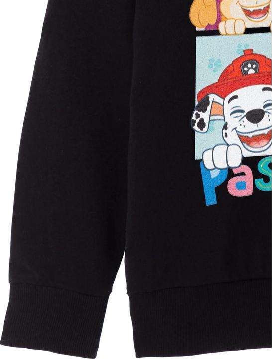 Produktbild Paw Patrol Smile And Pass It On Kapuzenpullover Mädchen (128)