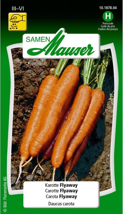 Actual product image Samen Mauser Carrot Flyaway (Vegetable seeds)
