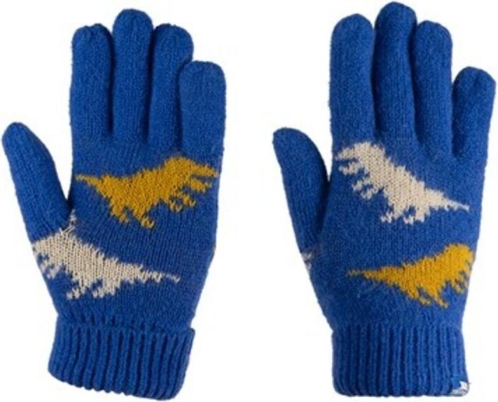 Trespass CASPER Kinderhandschuhe (8, 10)