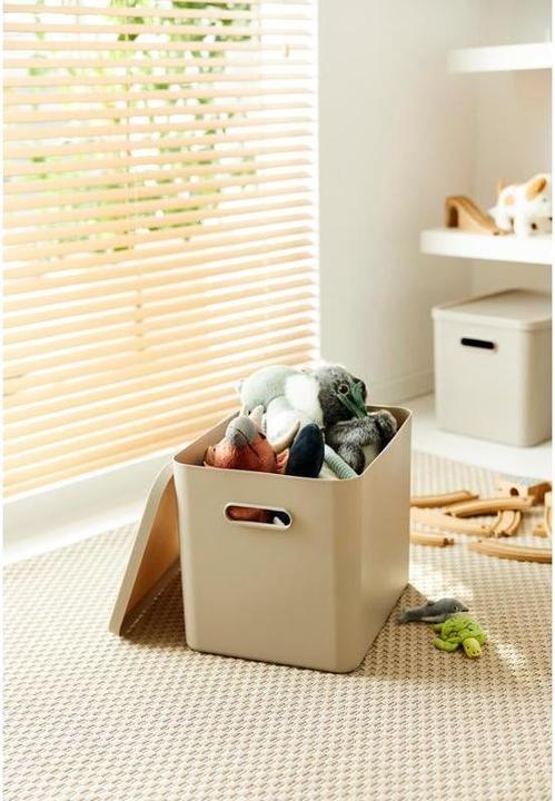 Actual product image Rotho Babydesign Spielzeugbox KAYO L Cappuccino