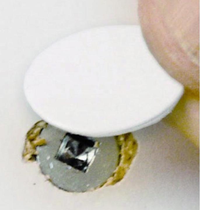 Immagine prodotto Werkstarck Tappi di copertura