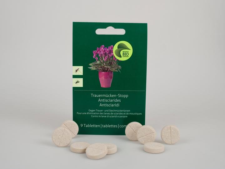 Immagine prodotto Migros-Bio Garden Ferma moscerino a fungo (Insetti nocivi, Moscerini)