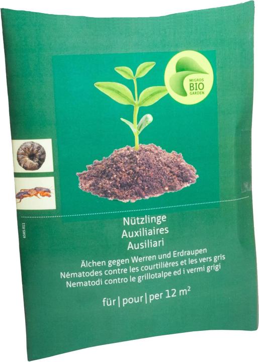 Migros-Bio Garden Älchen gegen Werren und Erdraupen (Insetti nocivi)