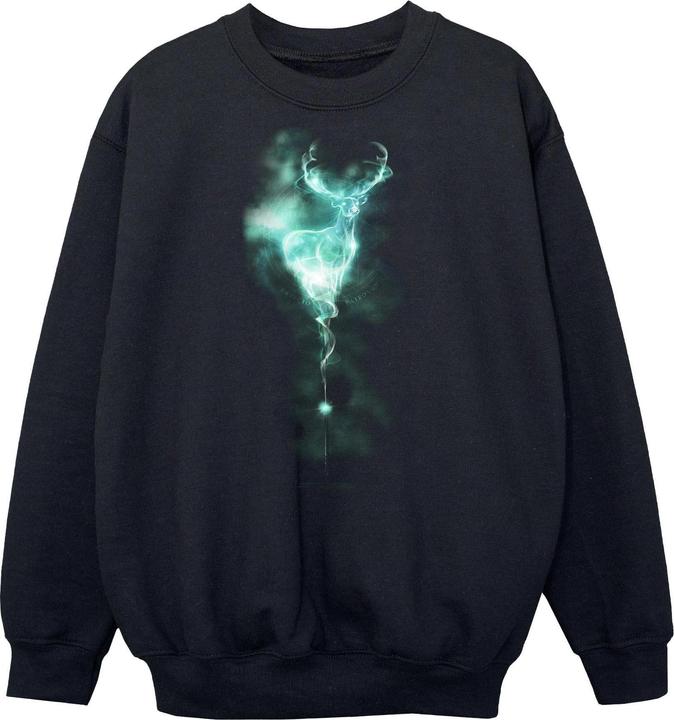Produktbild Patronus Mist Sweatshirt Jungen (140, 146)