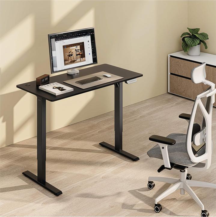 Actual product image LogiLink Sit-stand desk (120 x 60 x 114 cm)