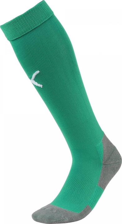 Actual product image Puma Team LIGA Socks CORE-703441 (43, 46)