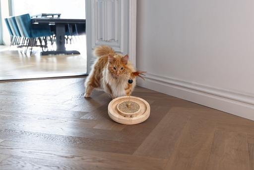 Actual product image Designed by Lotte Winni (Catmint toy)
