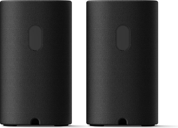 Actual product image Sony SA-RS8 (1 pair, 100 W)