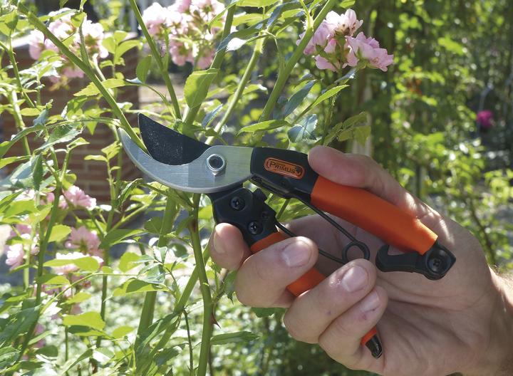 Actual product image Garten Primus Queen of the Roses" Lady's Garden Scissors
