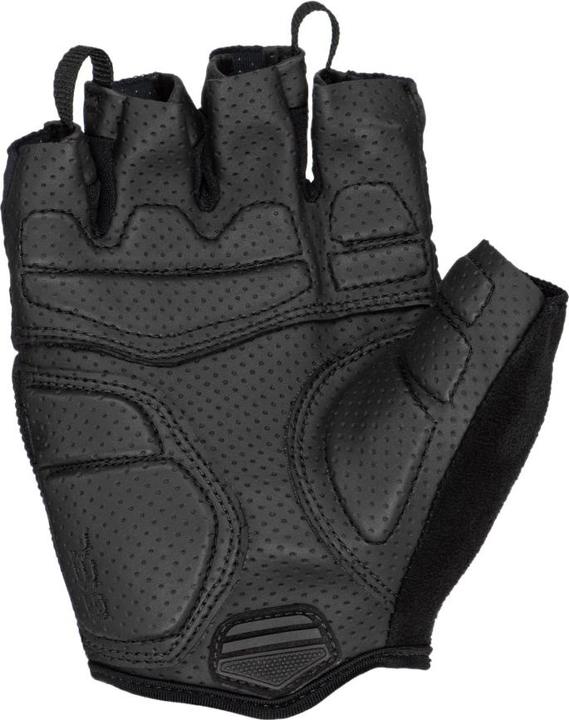 Immagine prodotto Lizard Skins Guanto Aramus Cadence, nero, L/10 (10, L)