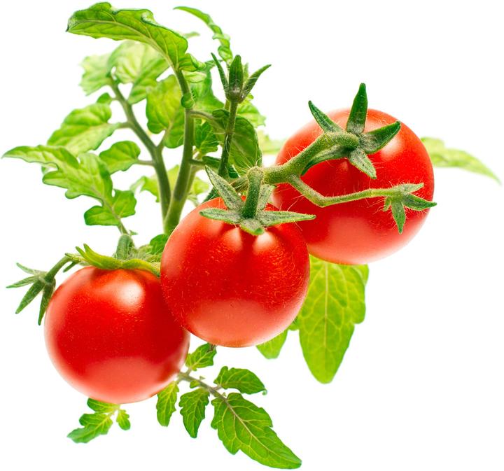 Produktbild Click and Grow Mini-Tomaten (Gemüsesamen)