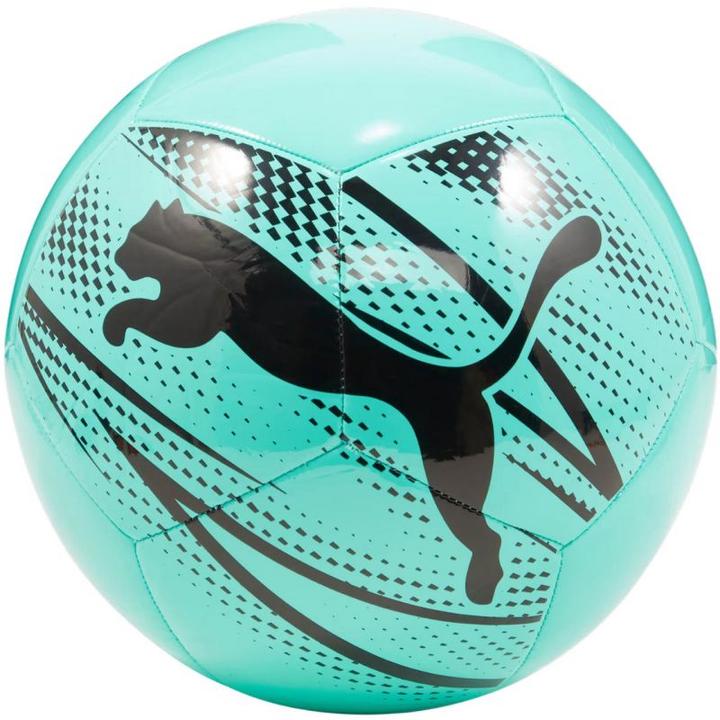 Puma Fussball Attacanto (4)