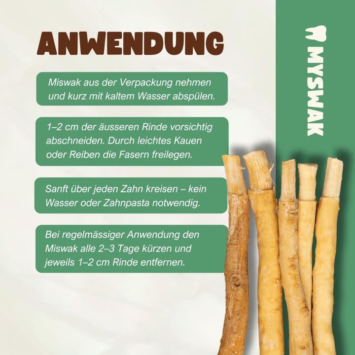 Actual product image Miswak Toothbrush wood (6 x)