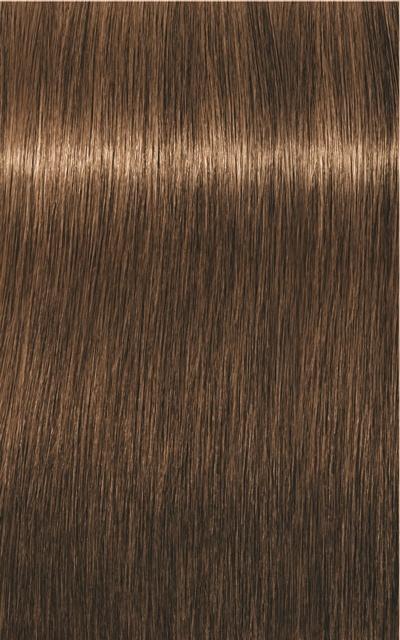 Produktbild Schwarzkopf Professional Igora Royal (6-5 Dunkelblond Gold)