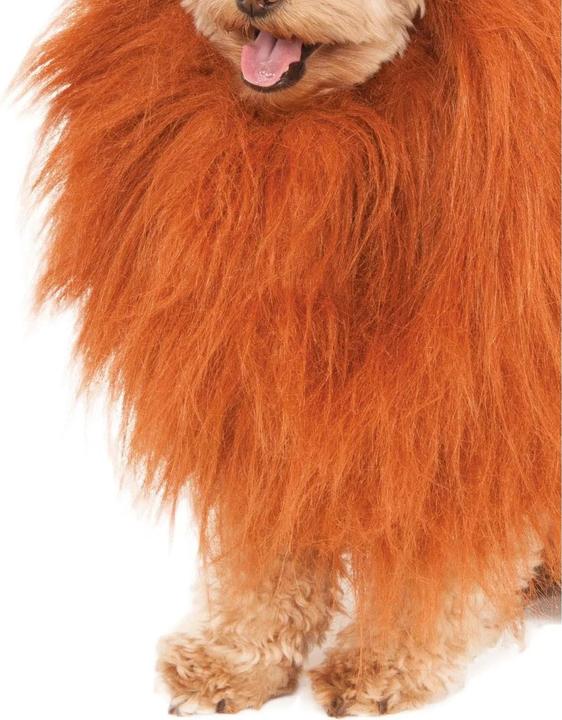 Actual product image Bristol Novelty Lion's Mane Dog Costume (Dog costume)