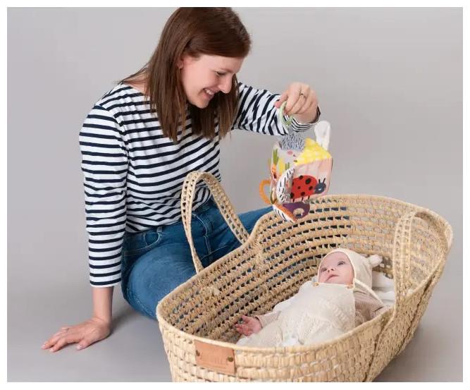 Actual product image Taf Toys Urban Garden