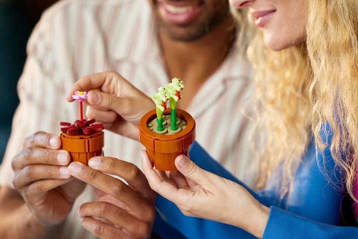 Immagine prodotto LEGO Mini piante (10329, LEGO Botanical, LEGO Icons)