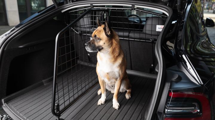Produktbild Guardsman Hundetrenngitter für das Tesla Model Y (Hund)