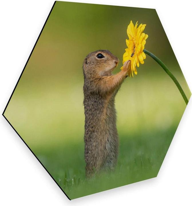 Immagine prodotto Trenddeko van Duijn - Gopher con fiore in mano (75 x 65 cm)