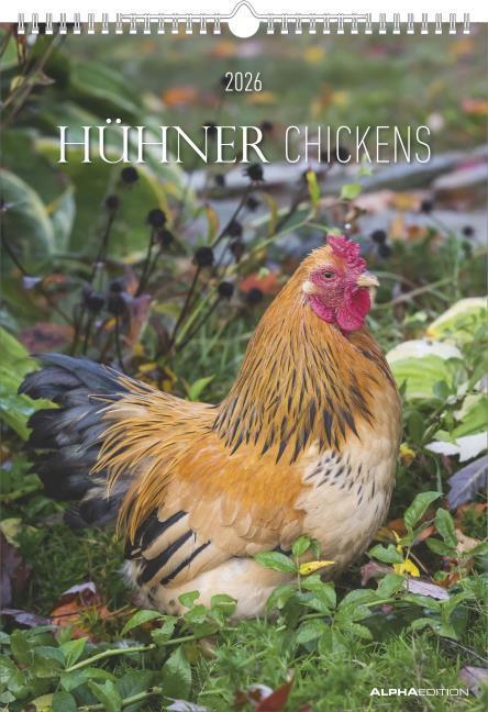 Actual product image Alpha Edition Hühner Kalender im Format 29,7 x 42 (French, Spanish, Dutch, English, German, Italian)