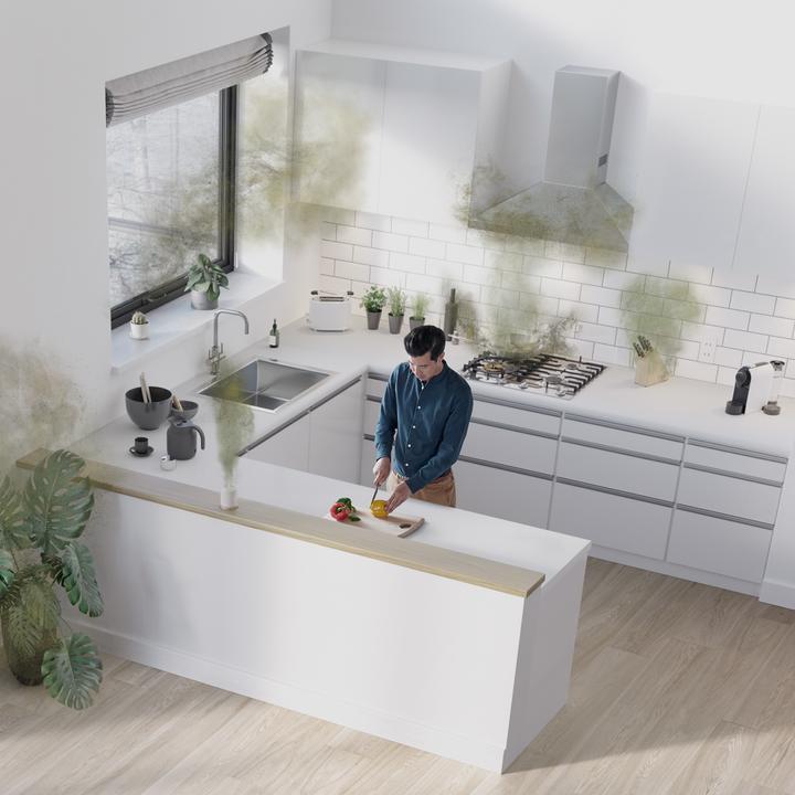 Productafbeelding Dyson Purifier Cool TP10 (27 m²)