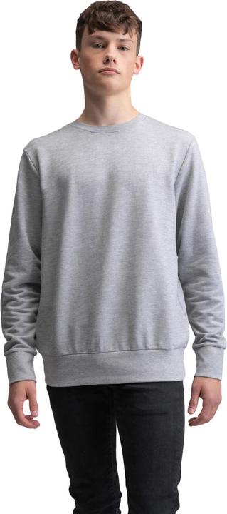 Actual product image Essential Sweatshirt (M)